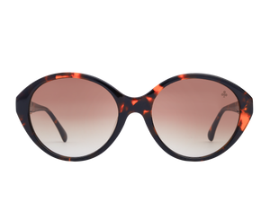 Rosa Valentine Square Sunglasses - CH3459 Havana