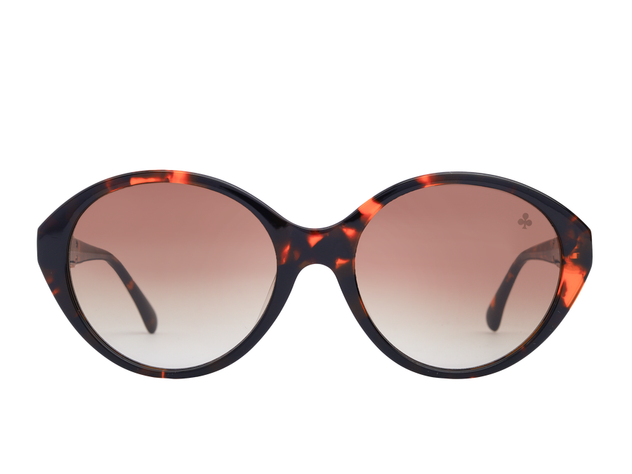 Rosa Valentine Square Sunglasses - CH3459 Havana