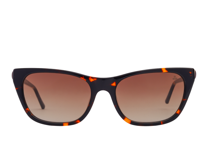 Rosa Valentine Square Sunglasses - PR05YV Havana