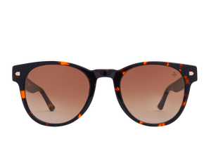 Rosa Valentine Square Sunglasses - VCHF327S Havana