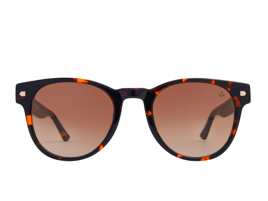 Rosa Valentine Square Sunglasses - VCHF327S Havana