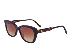 Rosa Valentine Square Sunglasses - CH0277S Havana