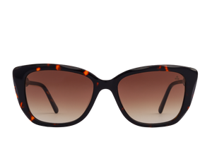 Rosa Valentine Square Sunglasses - CH0277S Havana