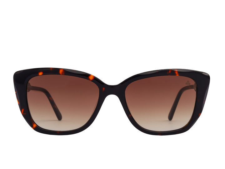 Rosa Valentine Square Sunglasses - CH0277S Havana