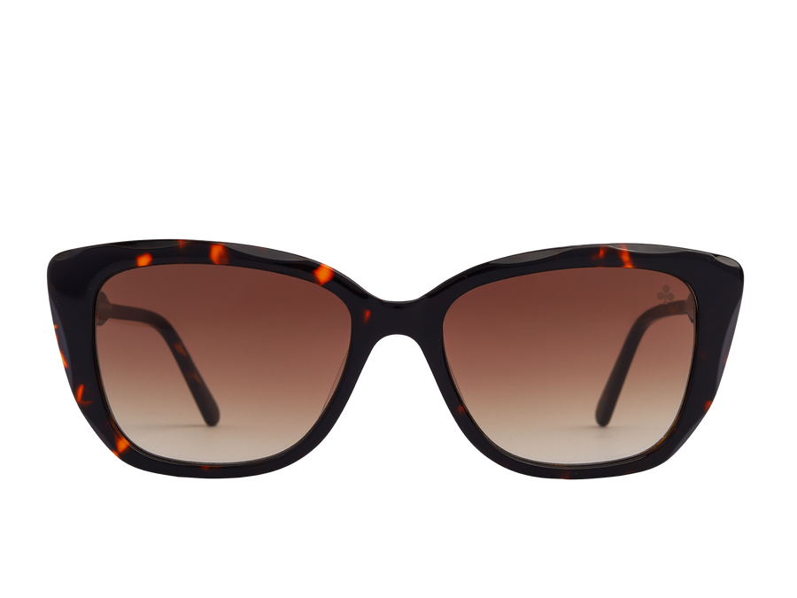 Rosa Valentine Square Sunglasses - CH0277S Havana