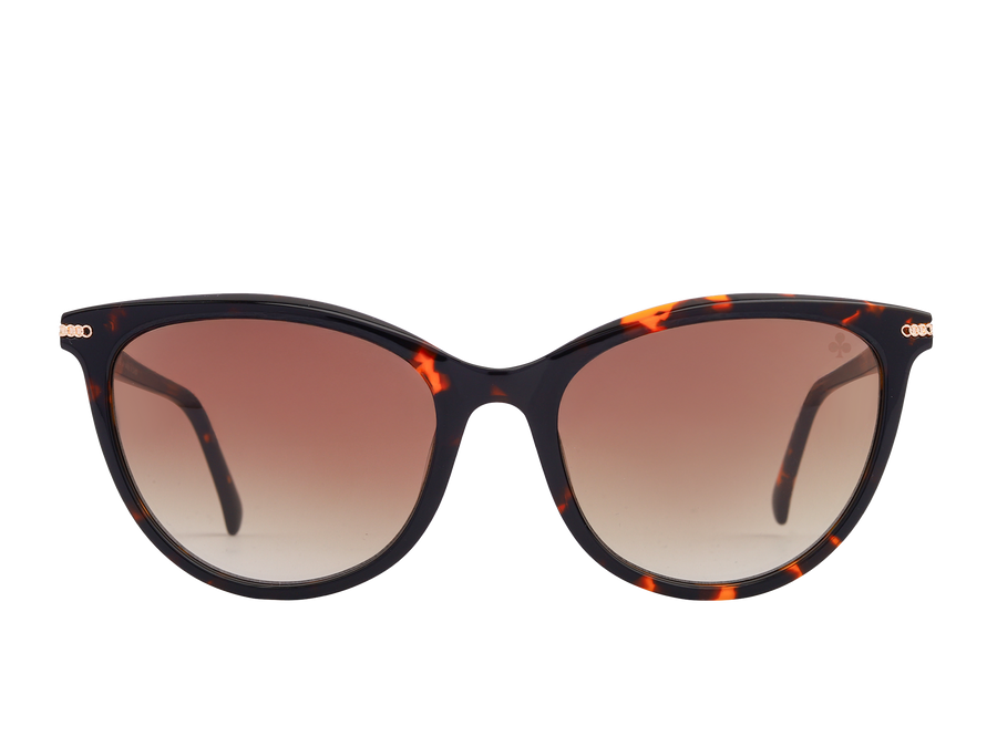 Rosa Valentine Square Sunglasses - CH3866 Havana