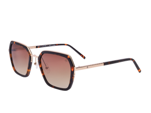 Rosa Valentine Square Sunglasses - VCHG28M Havana