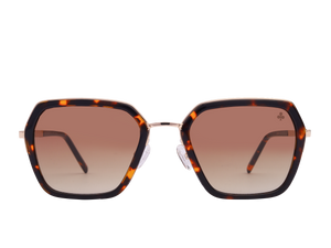 Rosa Valentine Square Sunglasses - VCHG28M Havana