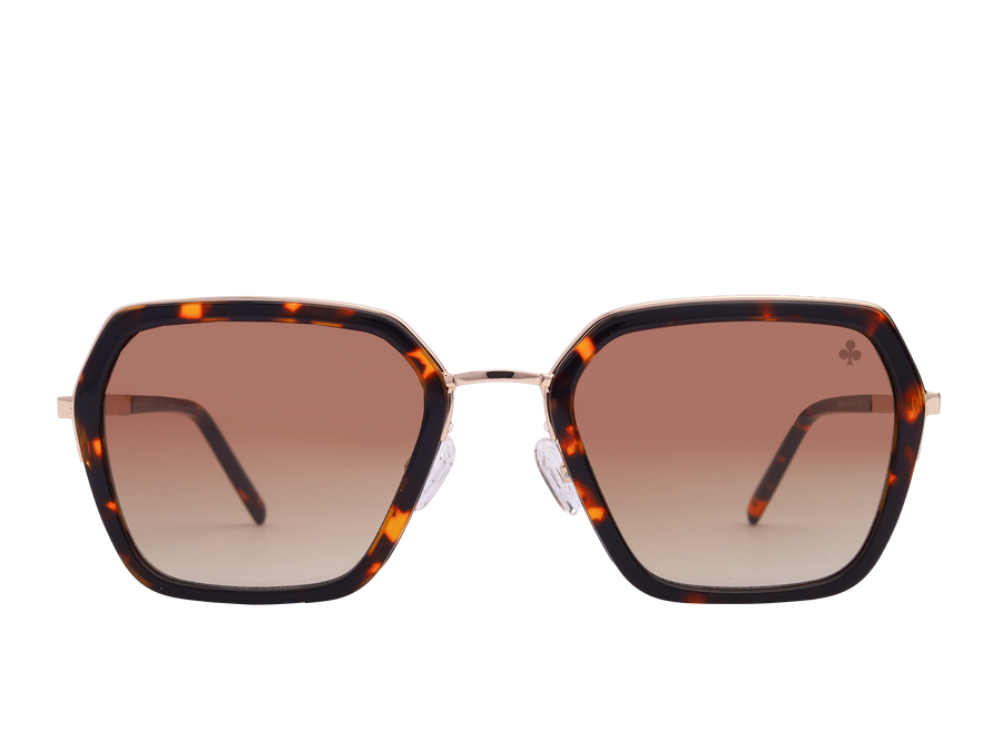 Rosa Valentine Square Sunglasses - VCHG28M Havana