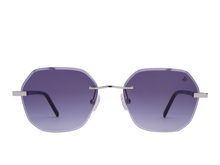 Rosa Valentine Square Sunglasses - VCHG26M Silver