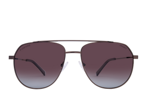 Franco AVIATOR Sunglasses - PS2160 Brown