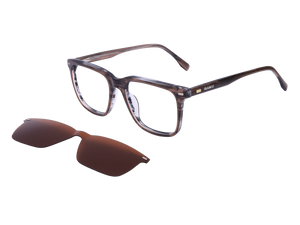 Franco Square Frames - 6553/CS Brown