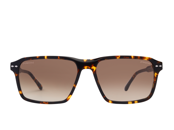 Sportster Square Sunglasses - 3223 Havana