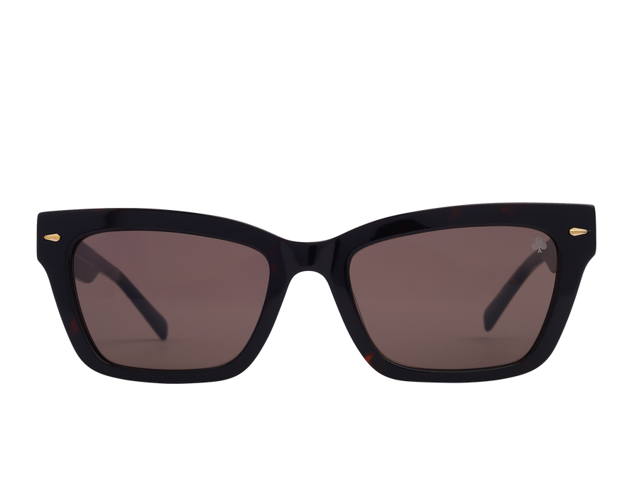 Rosa Valentine Square Sunglasses - SCH338 Havana