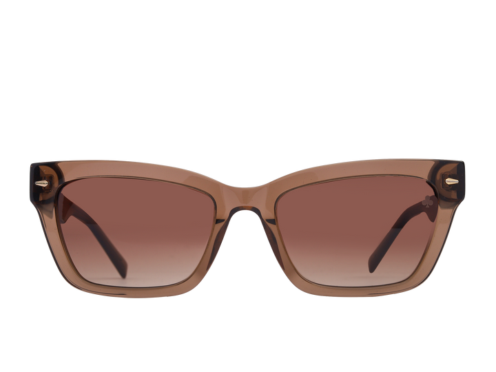 Rosa Valentine Square Sunglasses - SCH338 Brown