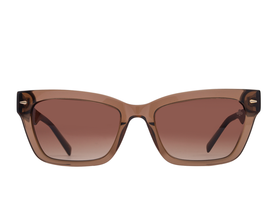 Rosa Valentine Square Sunglasses - SCH338 Brown