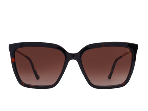 Rosa Valentine Square Sunglasses - 4621 Havana