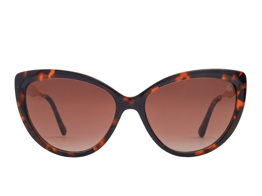 Rosa Valentine Square Sunglasses - 5484S Havana