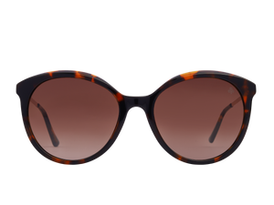 Rosa Valentine Square Sunglasses - 4622 Havana