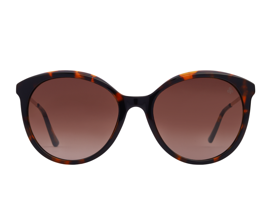 Rosa Valentine Square Sunglasses - 4622 Havana