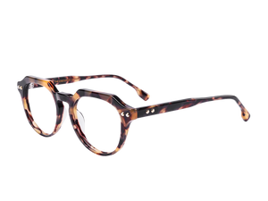 society-round-frames-the-executive