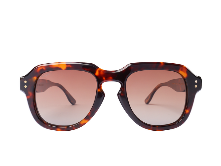 Society Aviator Sunglasses - Leader
