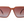 Load image into Gallery viewer, Society Square Sunglasses - Hunter
