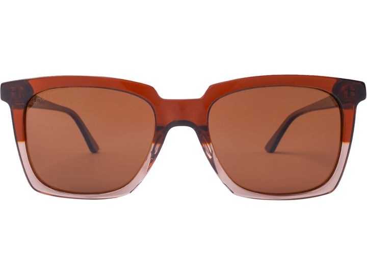 Society Square Sunglasses - Maestro