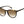 Load image into Gallery viewer, Tommy Hilfiger  Cat-Eye sunglasses - TH 1724/S Havana
