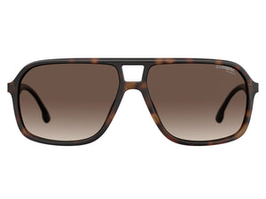 Carrera  Aviator sunglasses - CARRERA 8035/S Brown