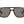 Load image into Gallery viewer, Carrera  Aviator sunglasses - CARRERA 173/S Beige
