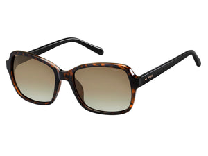 Fossil  Round sunglasses - FOS 3095/S Havana Black