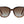 Load image into Gallery viewer, Fossil  Cat-Eye sunglasses - FOS 3103/G/S Havana
