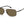 Load image into Gallery viewer, Carrera  Square sunglasses - CARRERA 8040/S Brown
