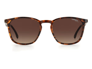 Carrera  Round sunglasses - CARRERA 8041/S Brown