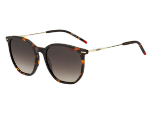 Hugo  Square sunglasses - HG 1212/S Havana