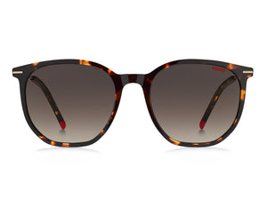 Hugo  Square sunglasses - HG 1212/S Havana