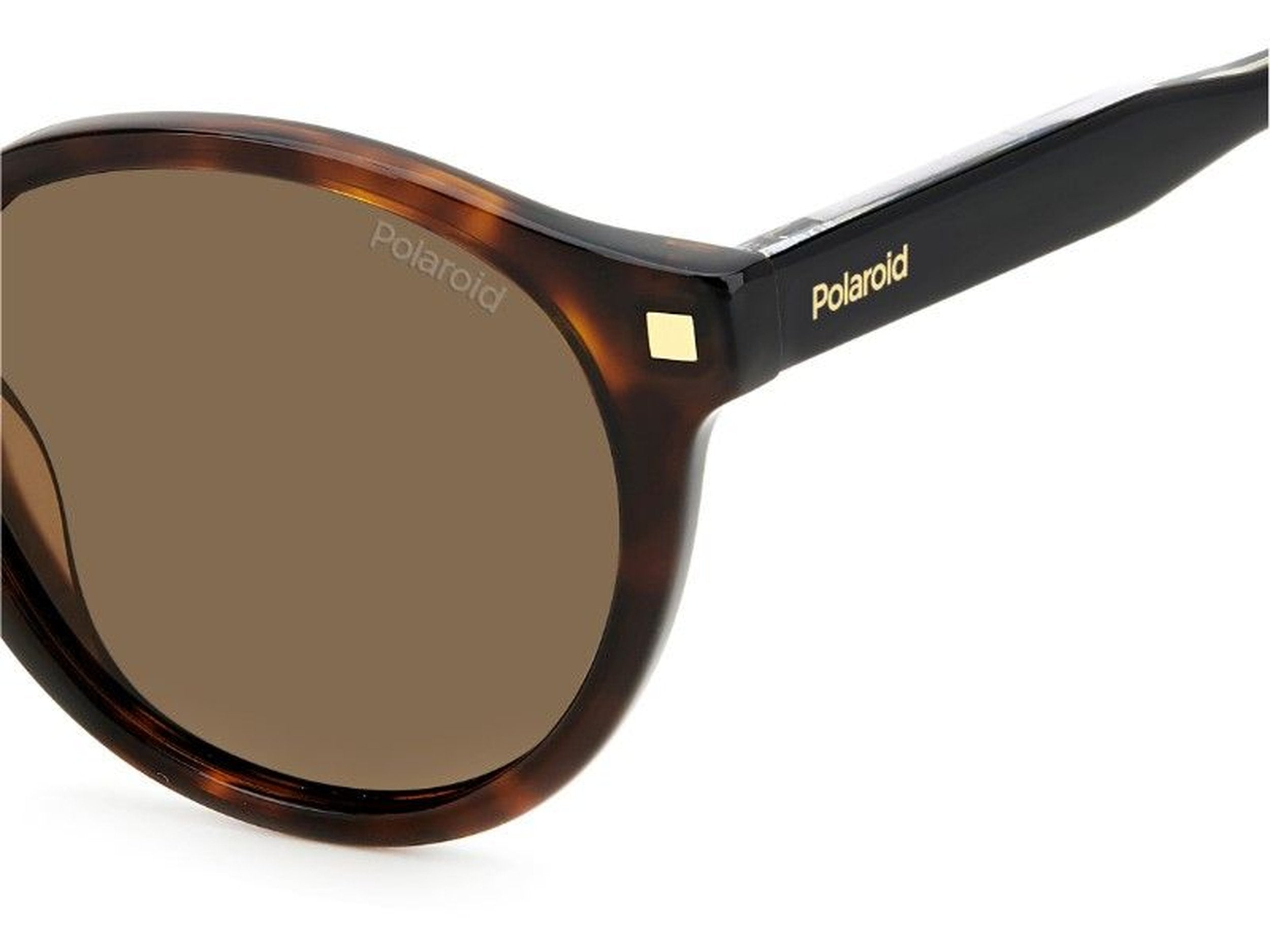 Polaroid Round Sunglasses