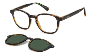 Polaroid Square Sunglasses - PLD 6203/CS Havana