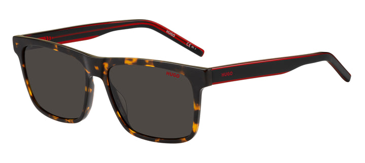 Hugo Square Sunglasses - HG 1242/S