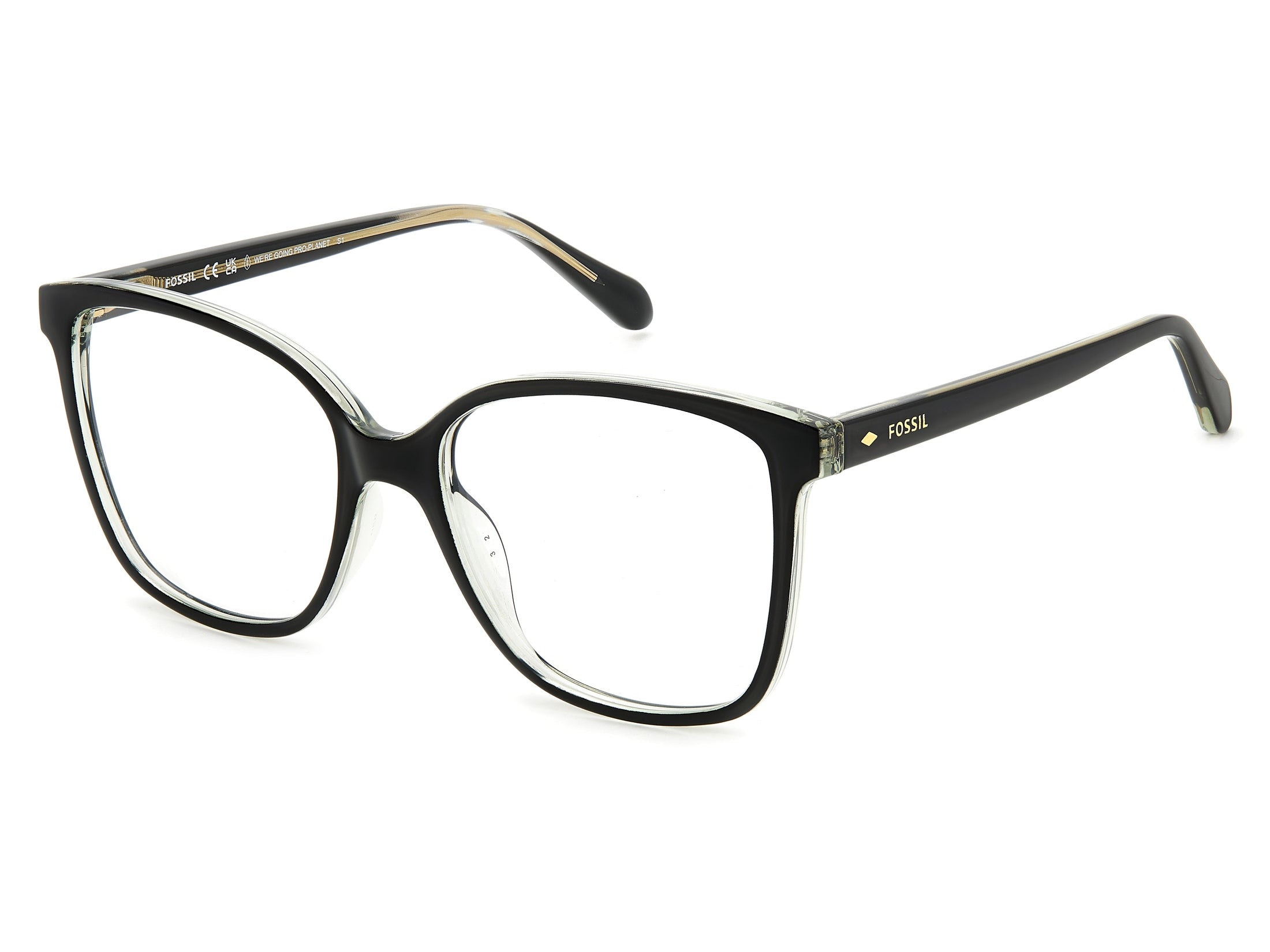 Fossil Square Frames