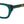 Load image into Gallery viewer, Carolina Herrera Square Frames - HER 0192 GREEN HAVANA GREEN
