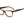 Load image into Gallery viewer, Carolina Herrera Square Frame - HER 0202/G HAVANA RED
