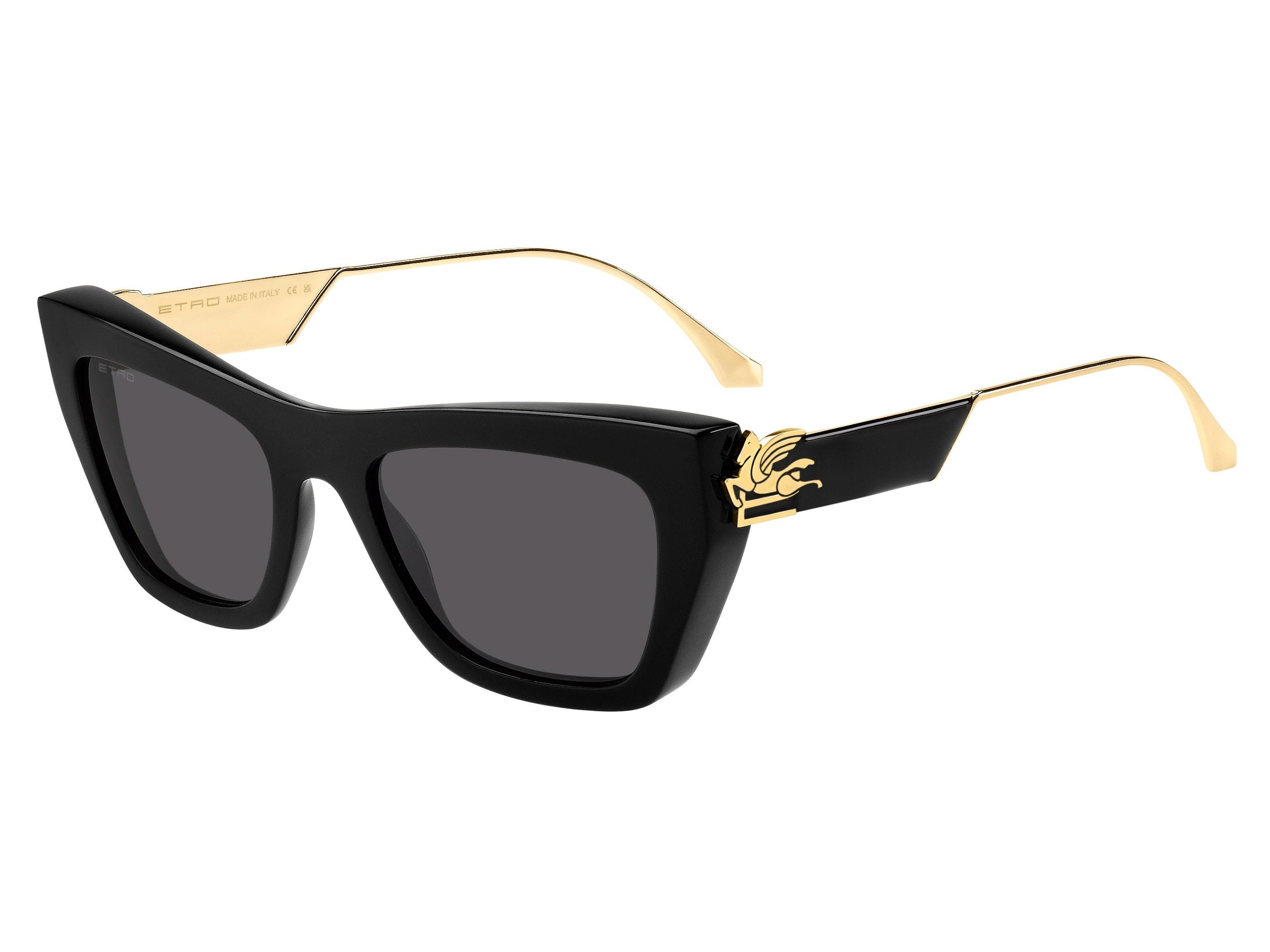 Etro Square Sunglasses