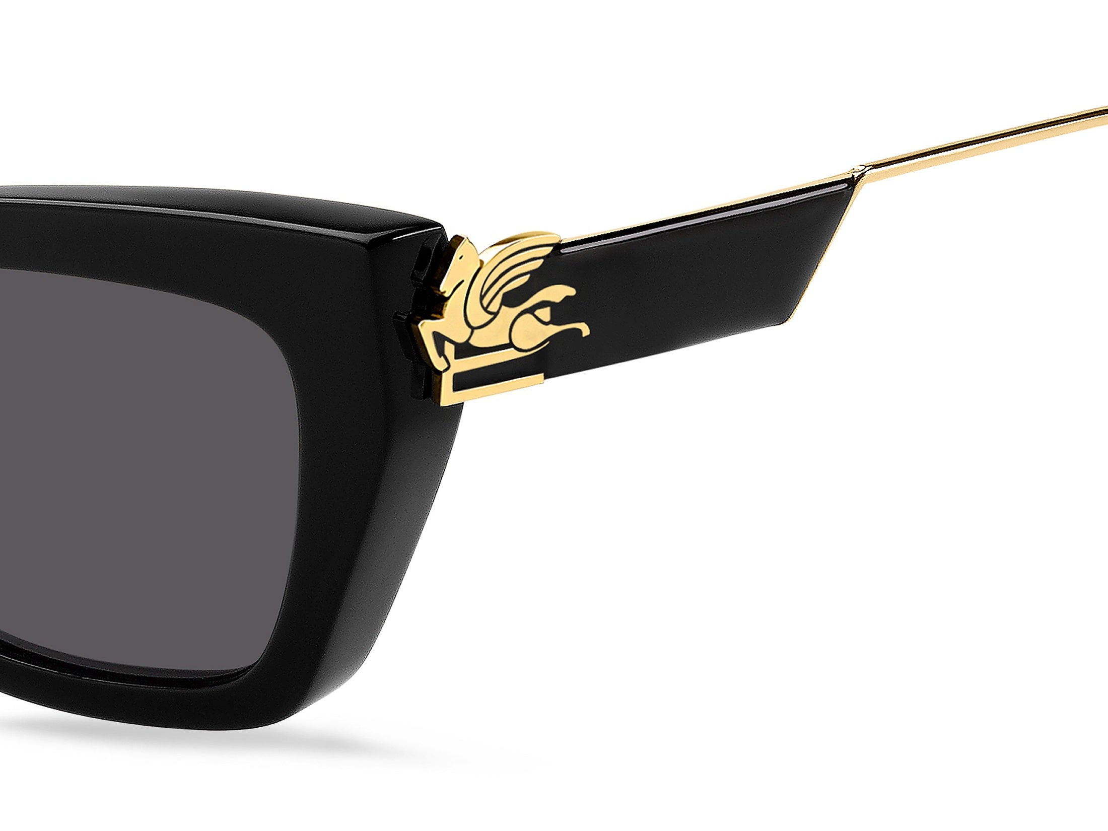 Etro Square Sunglasses