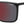 Load image into Gallery viewer, Carrera Square Sunglasses - CARDUC 034/S
