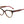 Load image into Gallery viewer, Carolina Herrera Square Frames - HER 0224 HAVANA RED
