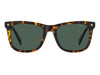 Polaroid Square Sunglasses