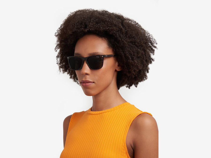 Polaroid Square Sunglasses - PLD 4167/S/X