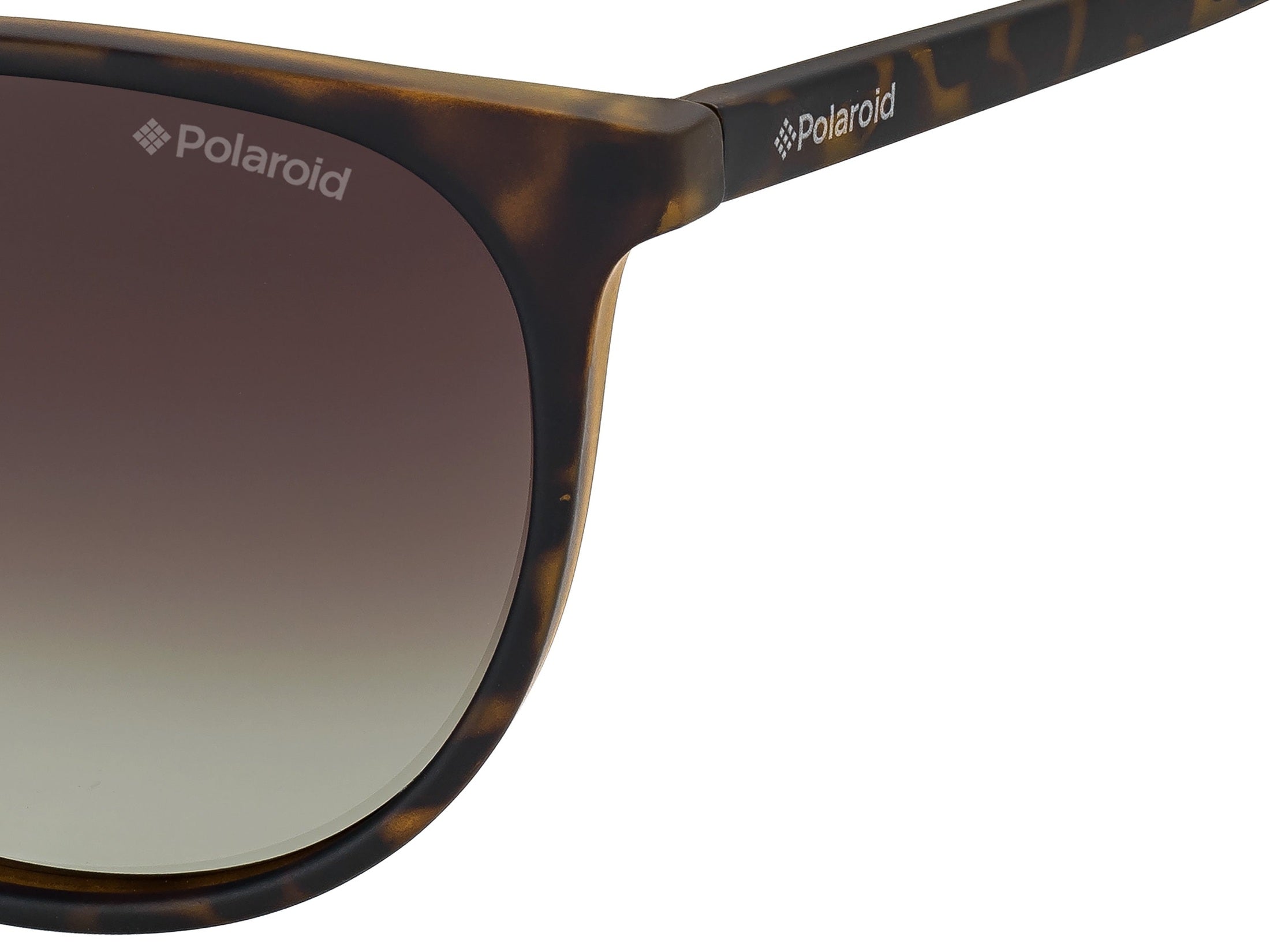 Polaroid Round Sunglasses